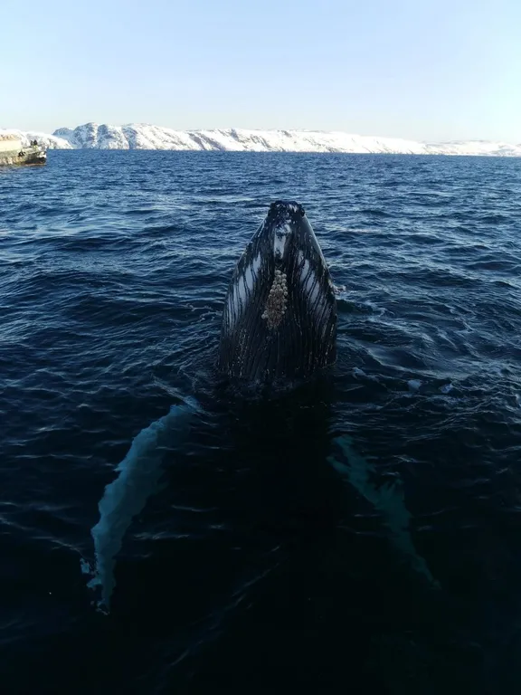 Квартира в историческом центре