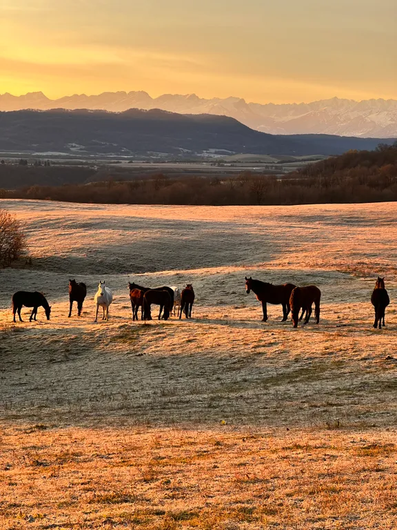 Домик на холме с видом на лес и горы