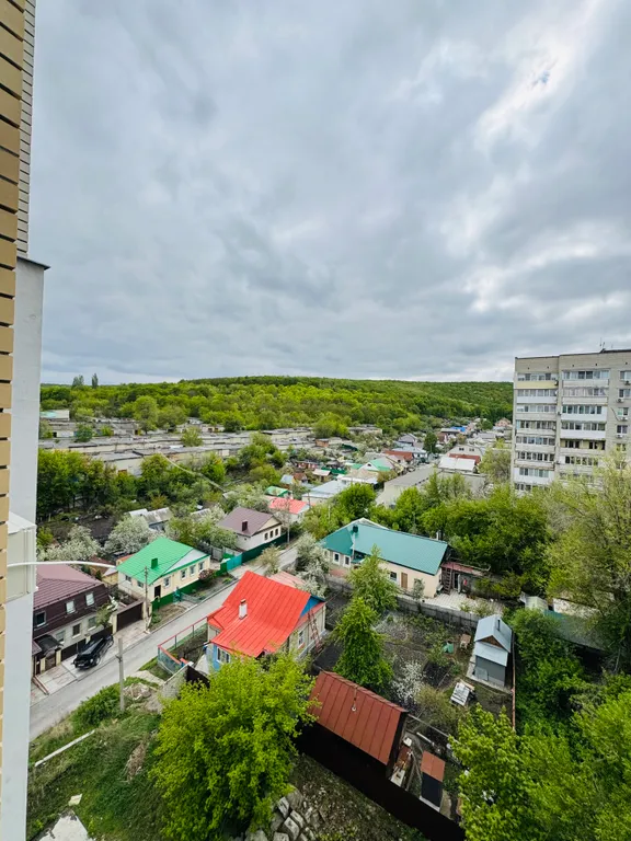 Апартаменты с видом на лес