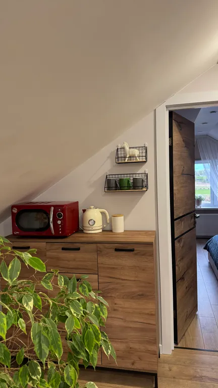 Большой семейный номер (люкс).