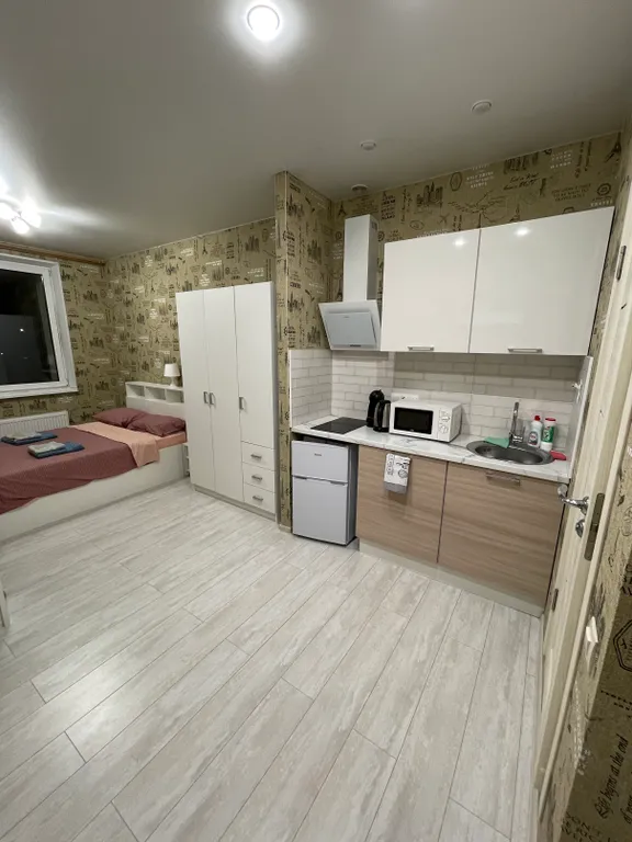 Просторная светлая студия