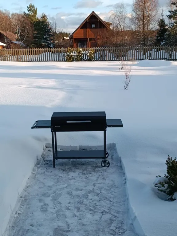 Боровики Хаус дом с камином