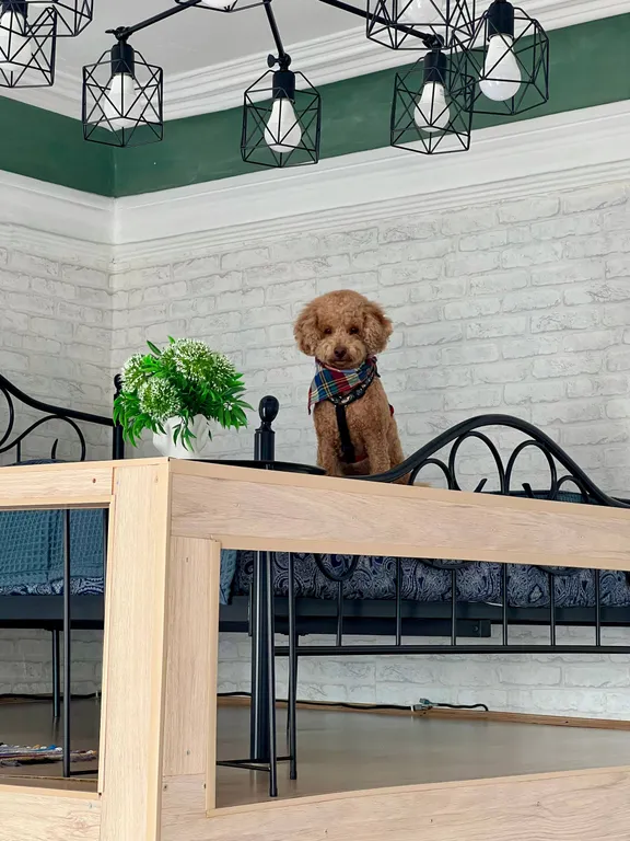 Квартира Двухуровневая квартира-студия в купеческом доме в сердце города — Краснодар