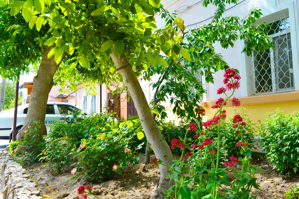 Дом для семейного отдыха у моря