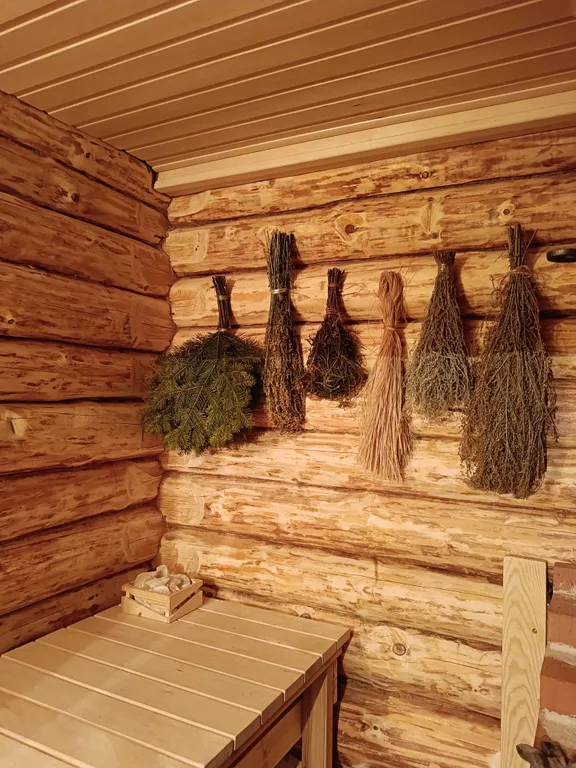 Темный домик на опушке леса