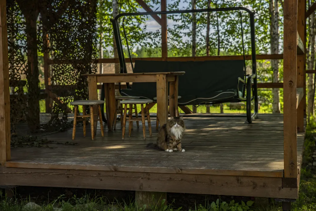 Уютный коттедж для четырех гостей на берегу озера Селигер