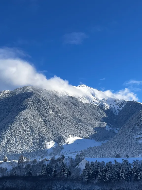 Укомплектованная трёхкомнатная квартира с шикарным видом
