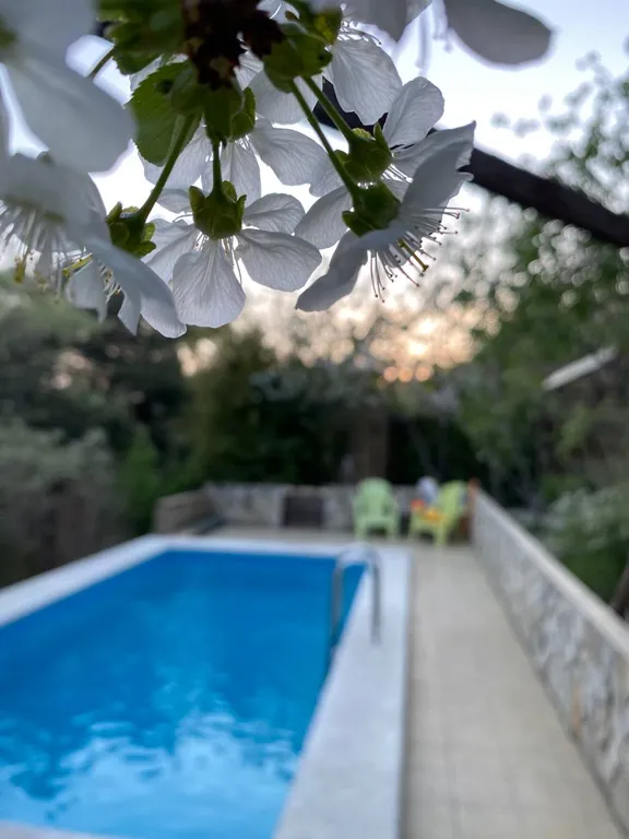 Квартира Апартаменты с тремя спальнями 90кв.м. — Геленджик