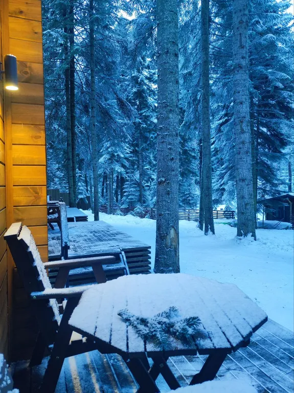 Коттедж 1-комнатный Дом — Архыз