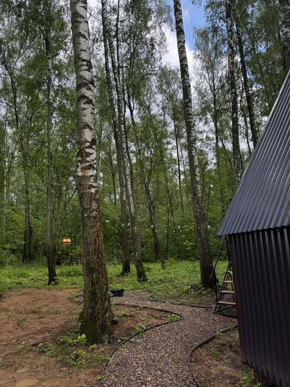 Лофт Ковбой