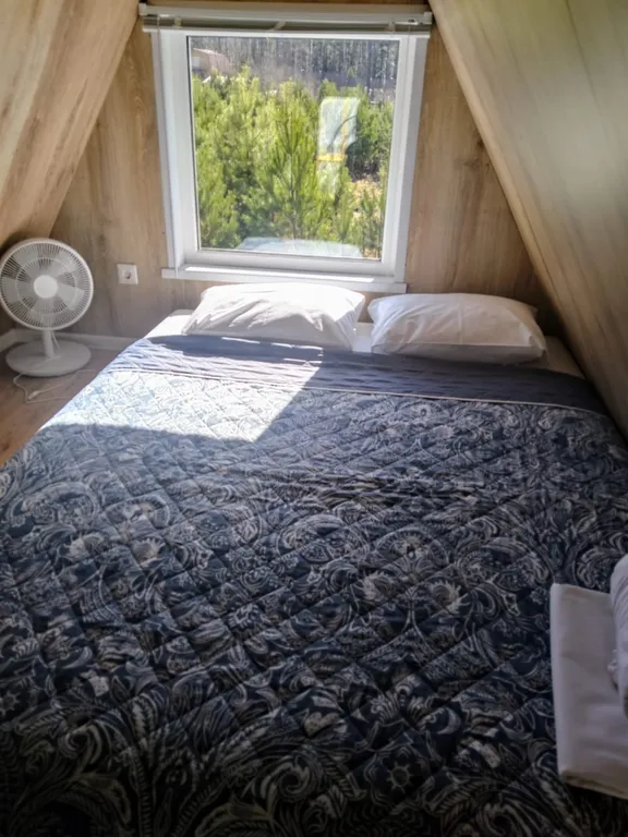 Дом у Катуни среди гор и многолетних сосен