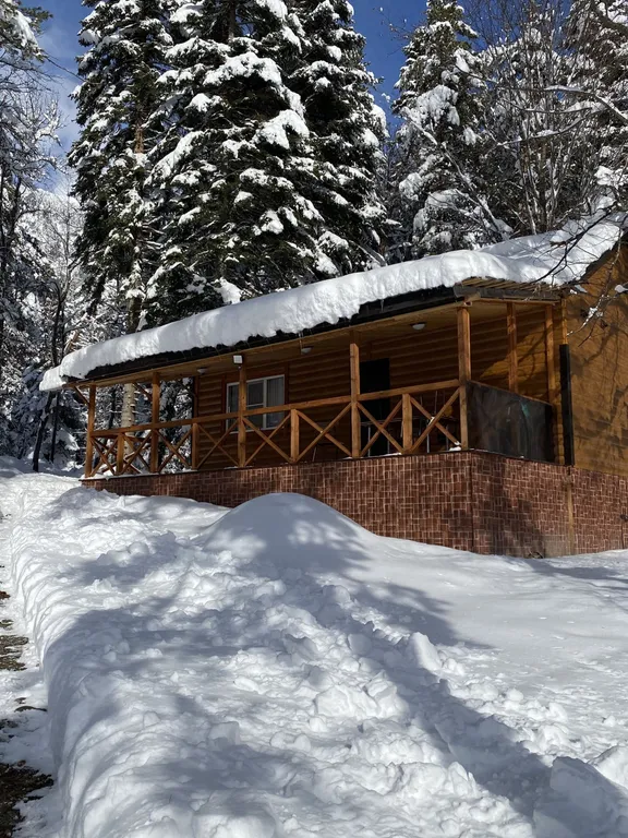 Коттедж 3-комнатный Дом — Архыз