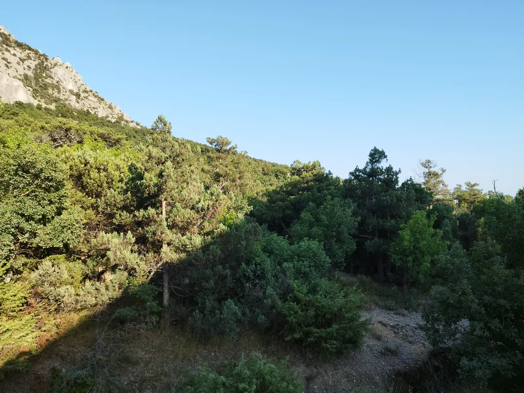 Квартира в бухте Ласпи у моря