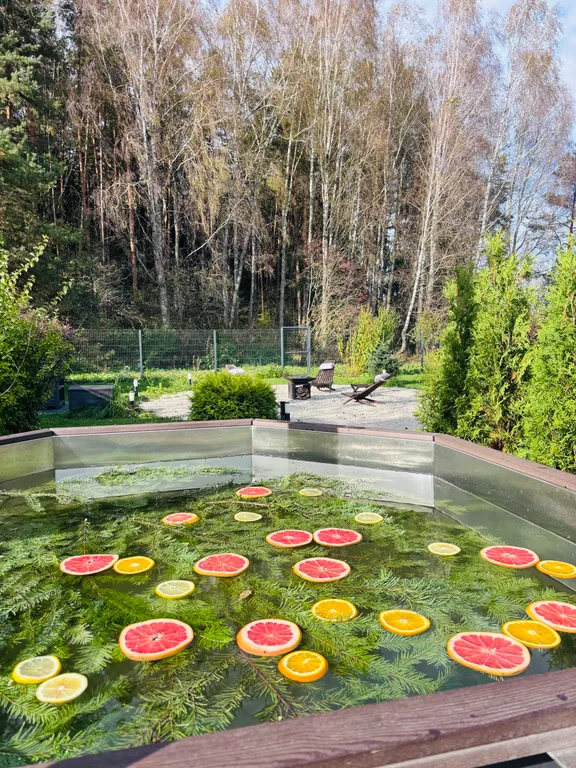 Дом у леса с банным чаном и панорамными окнами