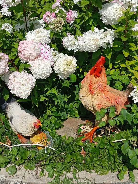 Дом-дача с тремя спальнями Петель