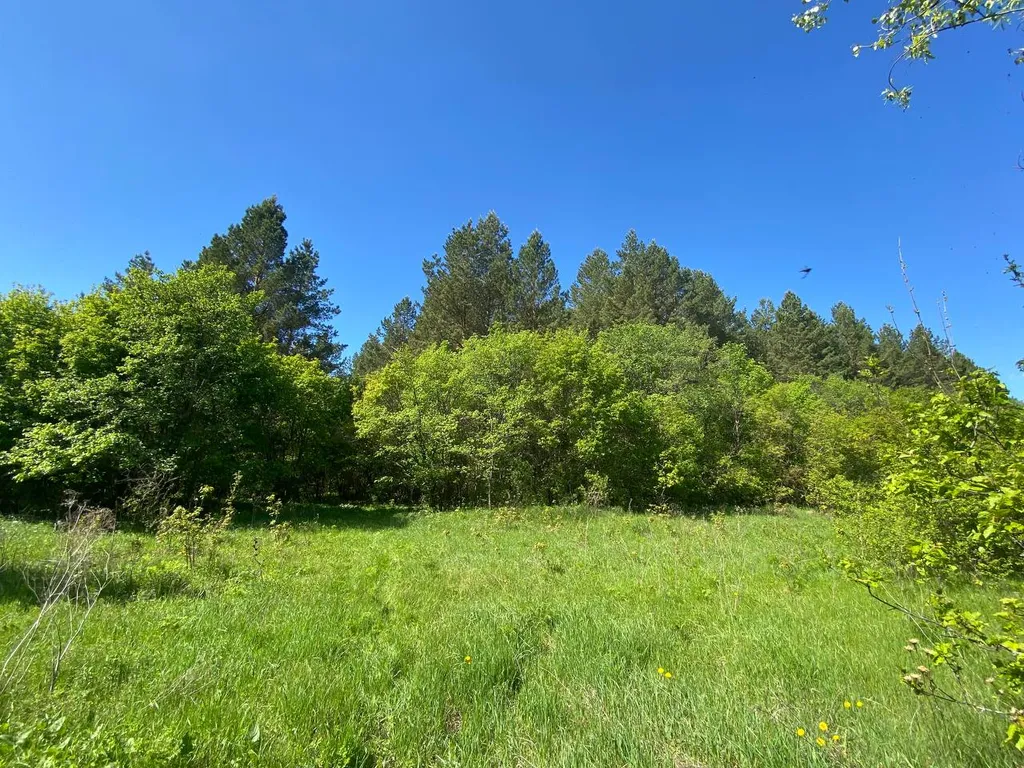 Загородная Усадьба Лесной Рай