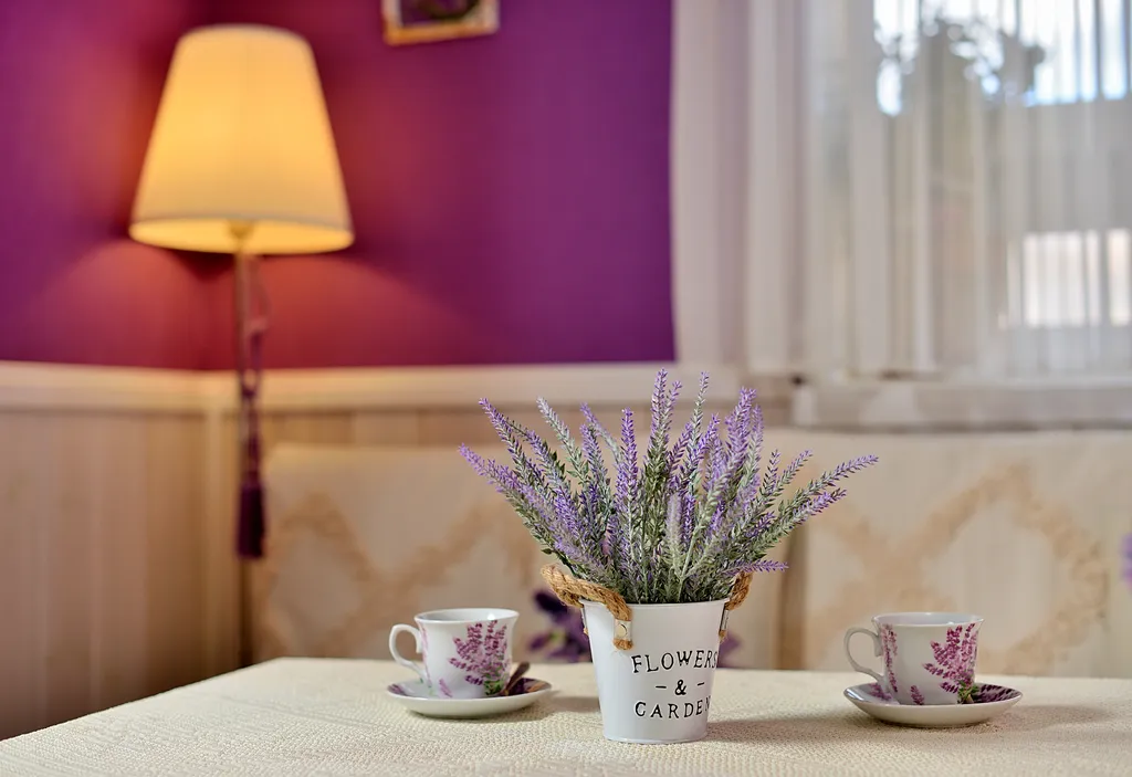 Бунгало Лаванда люкс напротив ГЛЦ