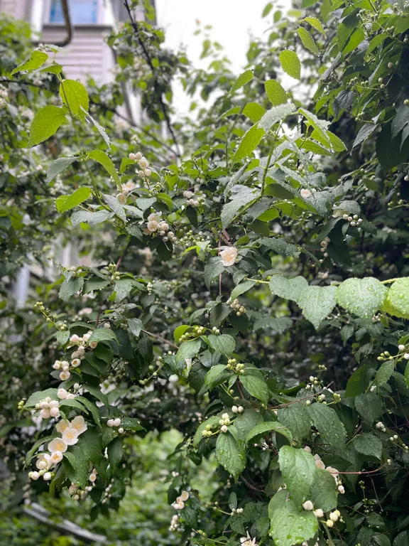 Уютная евродвушка на набережной