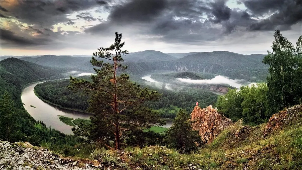 Дом с котом