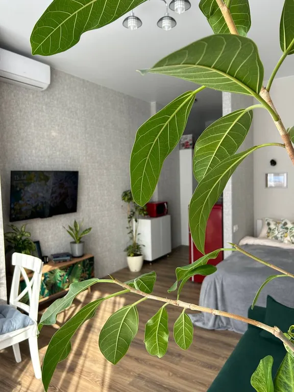 Уютная Арт студия в стиле Лондона 60 годов На границе Нацпарка