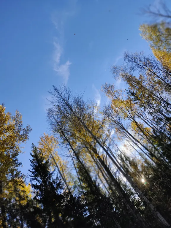 Коттедж Коттедж Северный рай — Кавголово