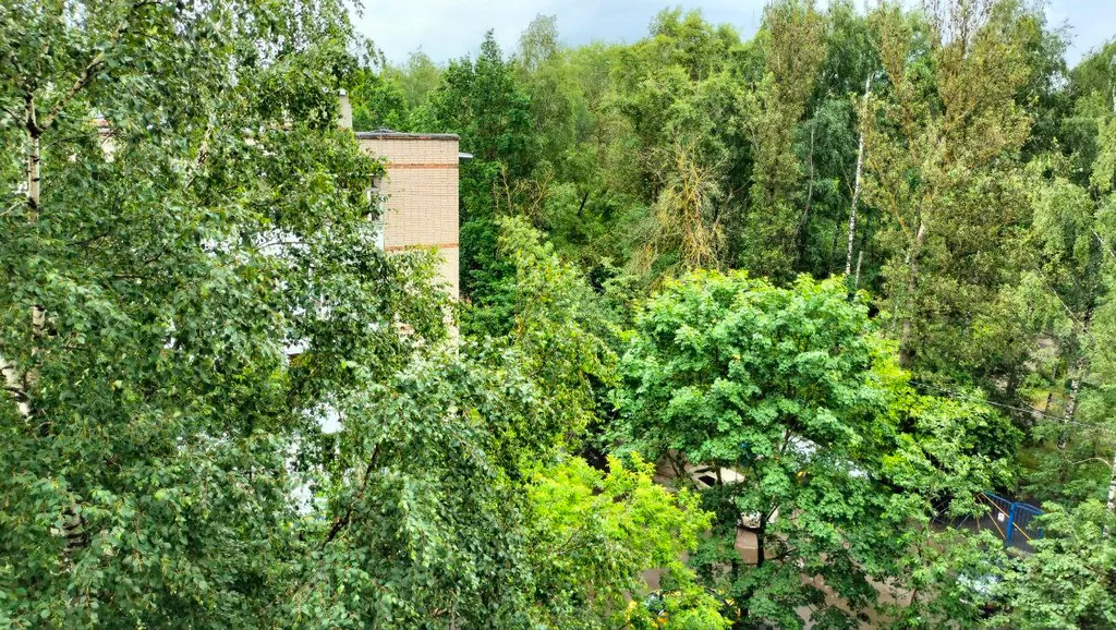 Чистая и светлая квартира в развитом районе