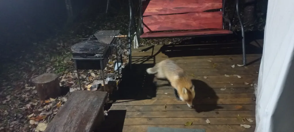 Глэмпинг Тихий каньон