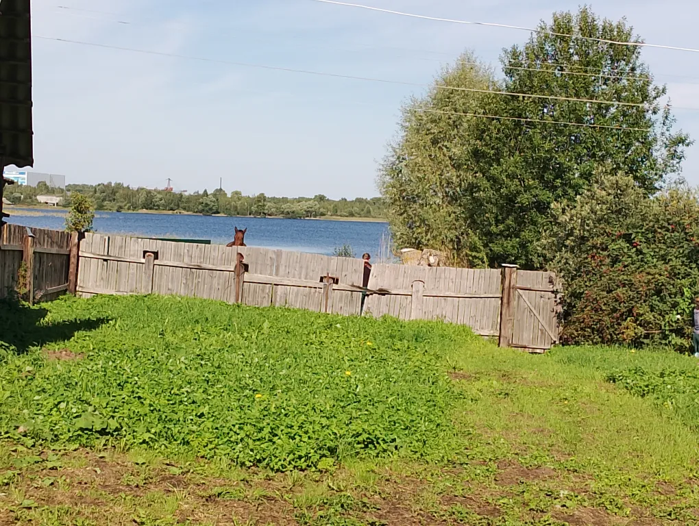 Домик на Селигере