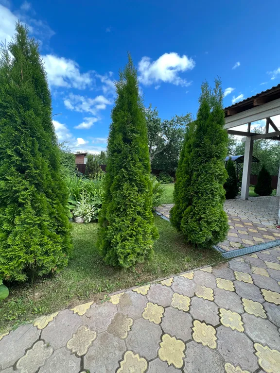 Загородный уютный дом для семейного отдыха