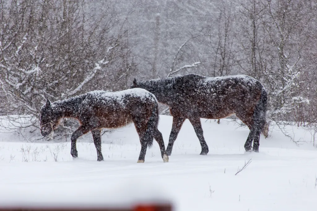 Горный шепот Дом №3