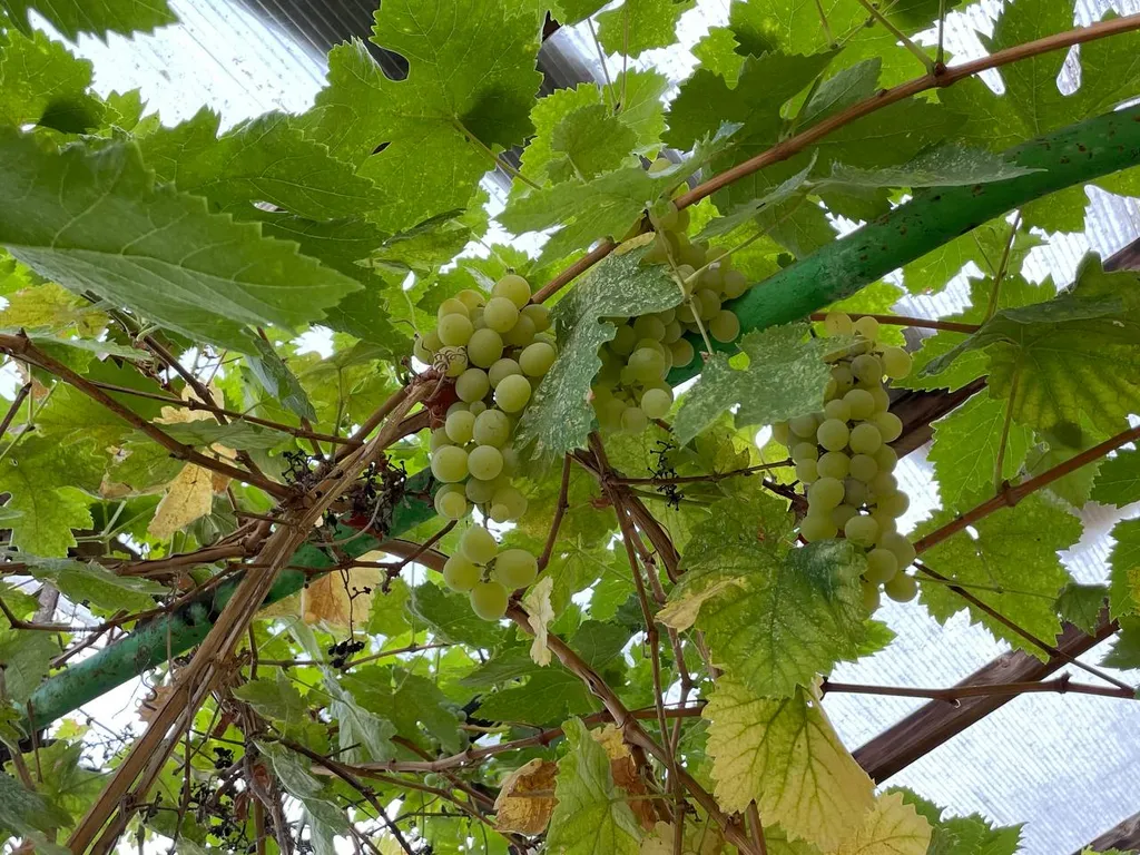 2-ком кв. В частном доме, идеальное место для отдыха