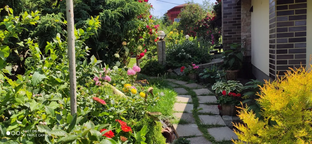 Небольшая дружелюбная студия с патио