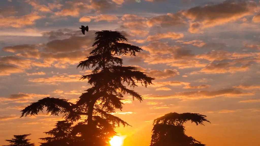 Панорамный 2х уровневый номер с зоной отдыха