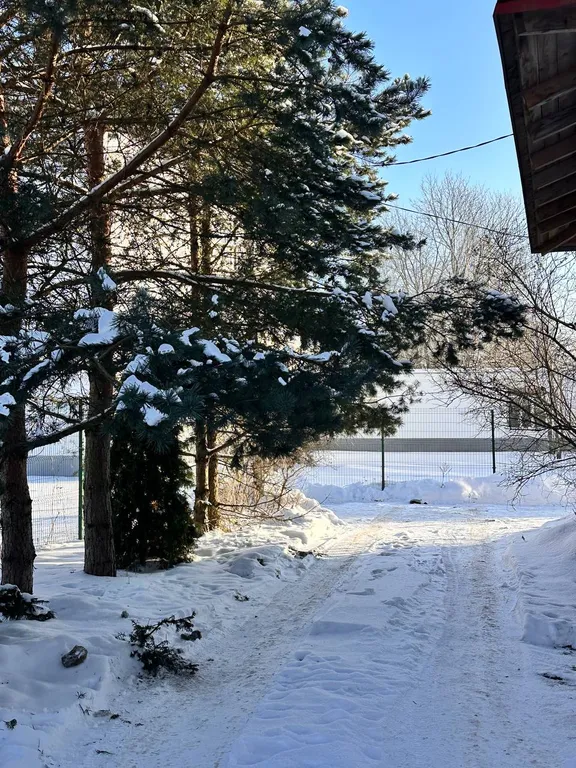 Эколофт с камином, мангалом, парковкой и отдельным входом в центре