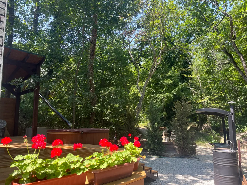 Треугольный дом в стиле A-frame