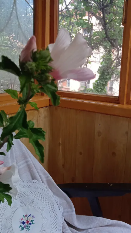 Тихий уголок в старинной части города