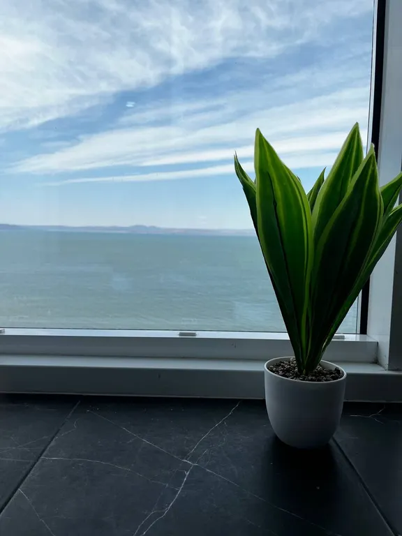 Квартира Квартира на берегу моря Sea and Sun — Владивосток