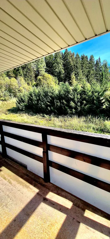 Коттеджный комплекс Куркиёки  у леса Коттедж 1