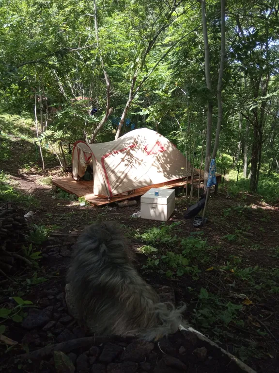 Домик путешественника у моря