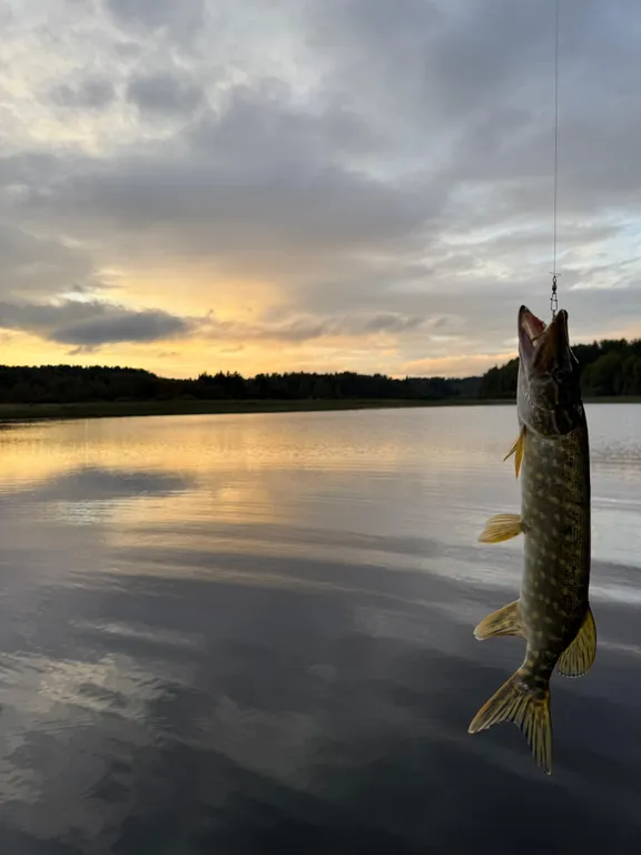 Дом-студия с панорамной стеной на залив Мусталанлахти