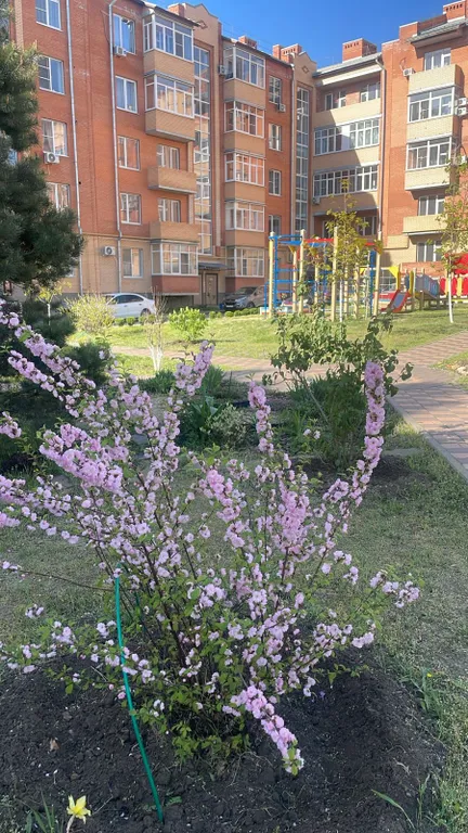 Уютная квартира в тихом районе города