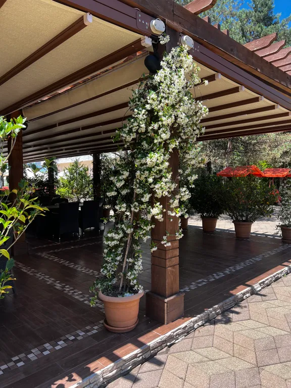 Элитный комплекс Дрим Лэнд Oasis на побережье Грузии