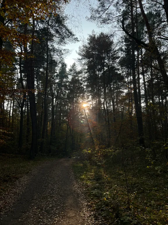 Коттедж Гостевой Дом Ветрово — Сосновка
