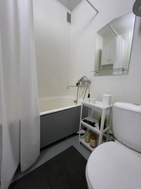 1-й комнатный апартамент