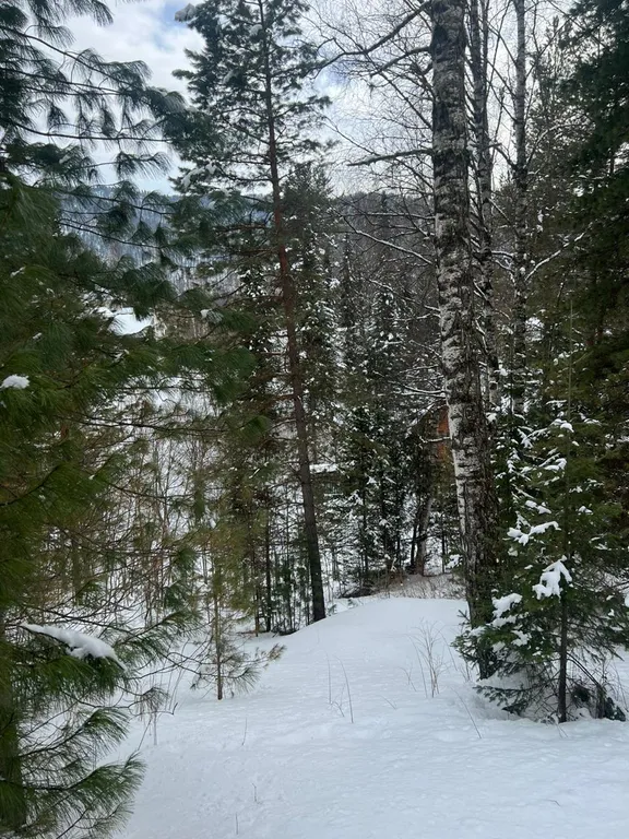 Уютный отдельно стоящий дом