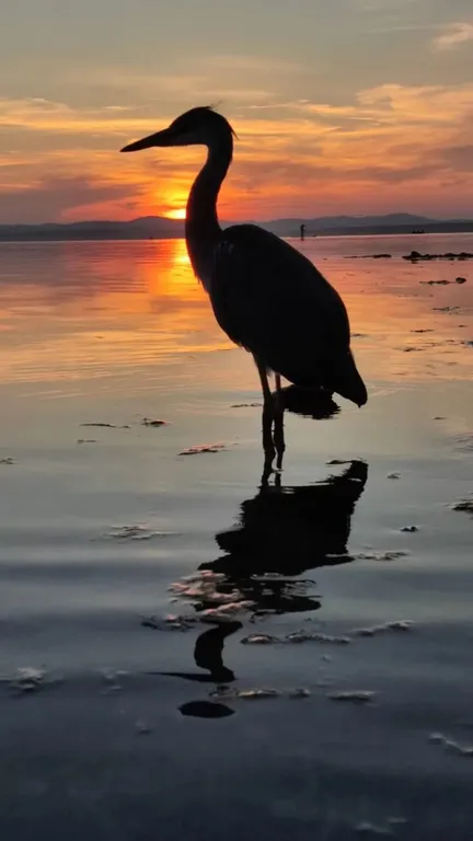 Дом Тропик у озера Увильды