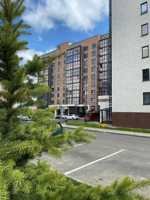 Новая квартира