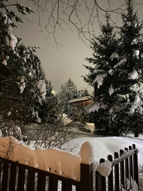 Дом для отдыха с камином, баней, оформлением к празднику