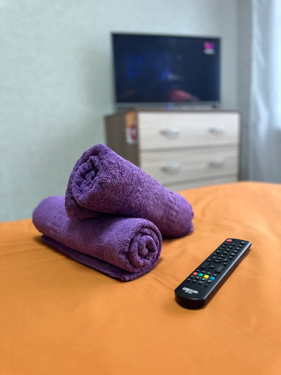 Квартира у ТЦ Галереи Чижова