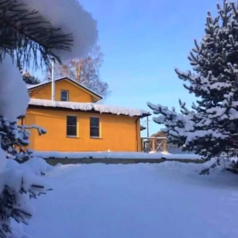 Коттедж Уютный домик — аренда посуточно в Сосново